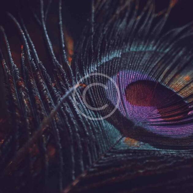 Pink Grip Pilates Socks - Stay Balanced and Comfortable